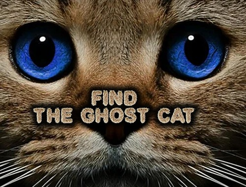 Permainan Temukan Kucing Hantu  secara online