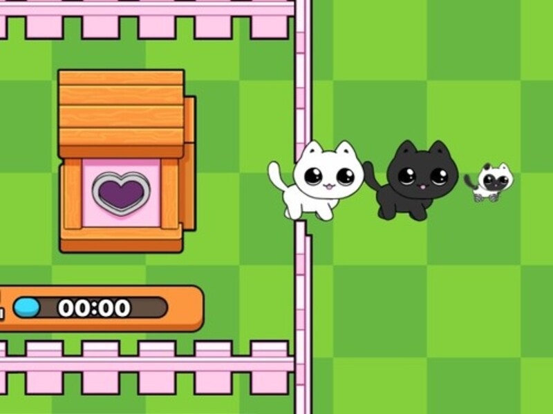 Permainan Kucing saya. Catworld secara online