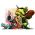 Strategi Browser daring