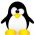 Penguins daring